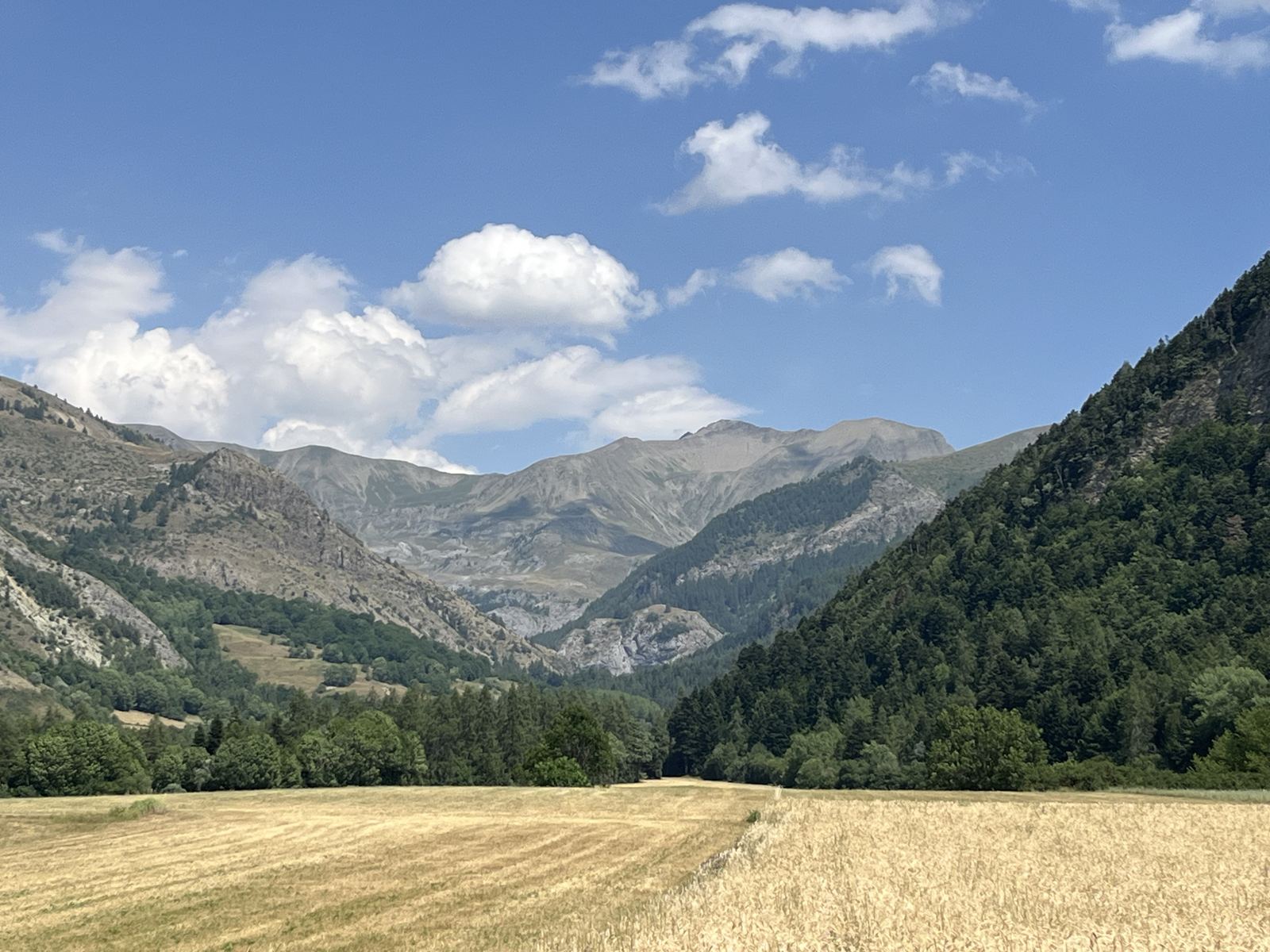 Champs et sommets autour d'Ancelle en été